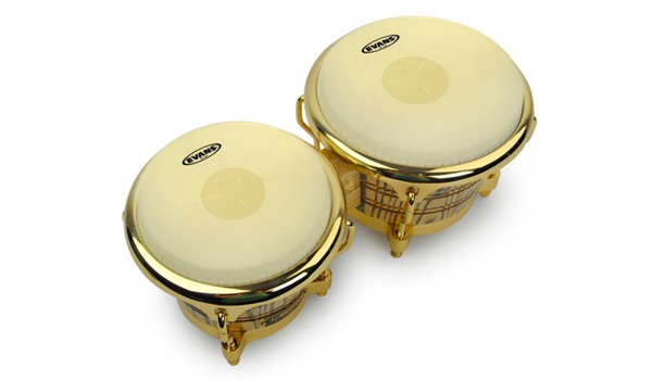 PARCHE EVANS PARA BONGO DE 9 5 PERCUSION LATINA  EVANS