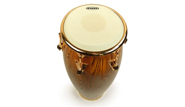PARCHE EVANS PARA CONGA 11 3/4 PERCUSION LATINA  EVANS