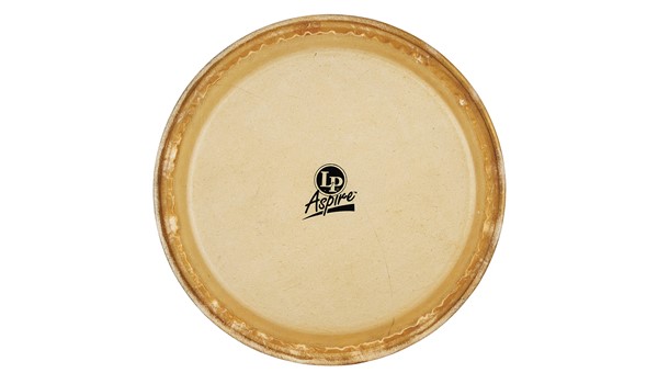 PARCHE LP PARA CONGA 10P