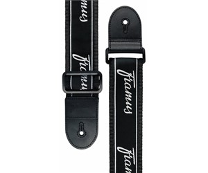 CORREA DE GUITARRA WARWICK FRA INSTRUMENTOS DE CUERDA  WARWICK