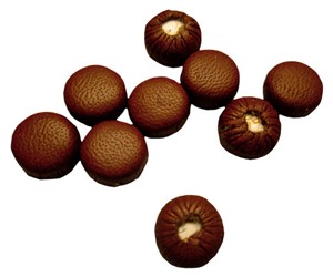 ZAPATILLA SAXO HERMES ACCESORIOS INSTRUMENTOS VIENTO  PRESTINI